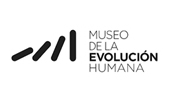 Museo Evolución Humana